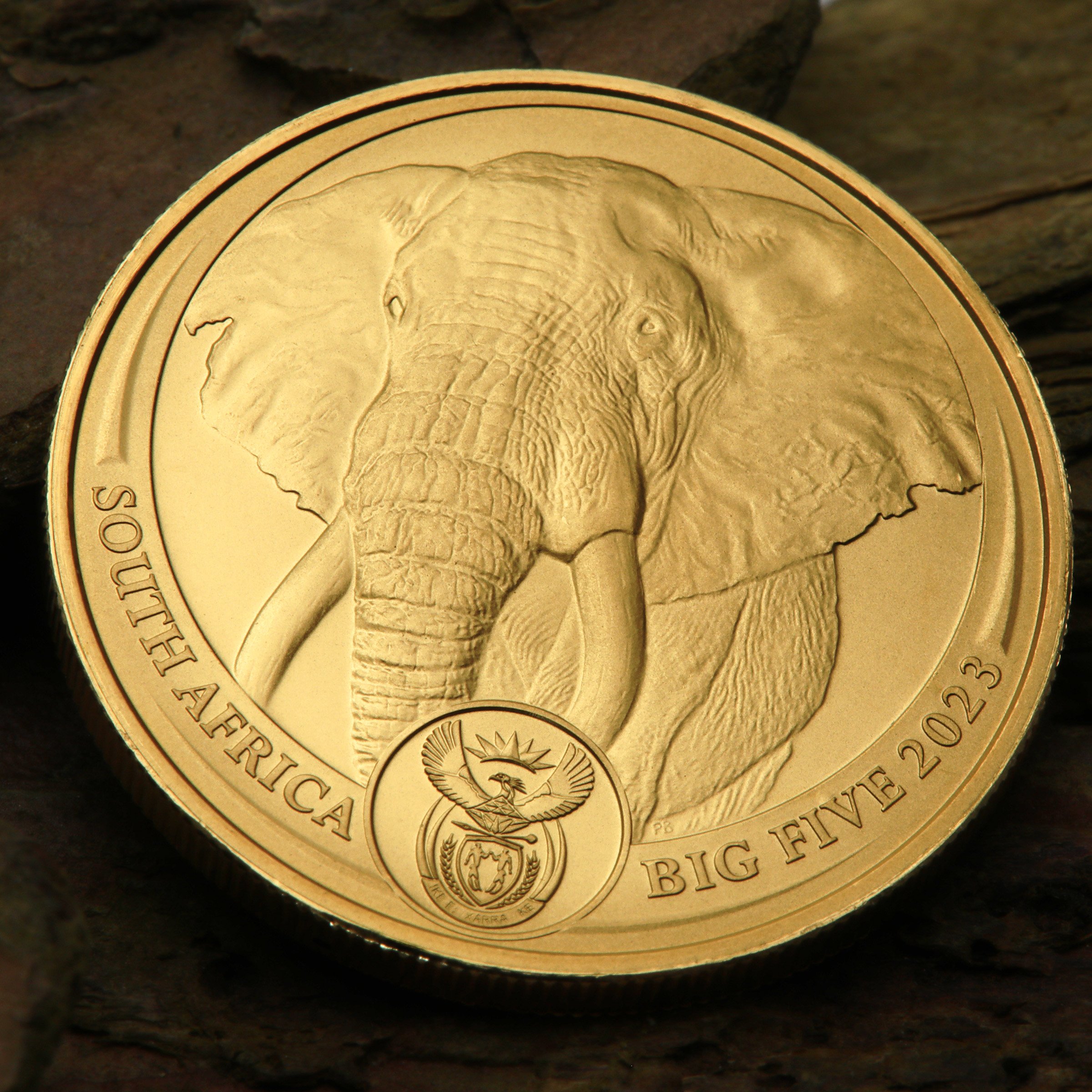 Goldmünze 1oz "Elefant" 2023 Big Five II (Südafrika) - Detailansicht 4