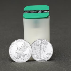 Silbermünze 20 x 1oz "American Eagle" aktueller Jahrgang Tube (USA) - Hauptansicht