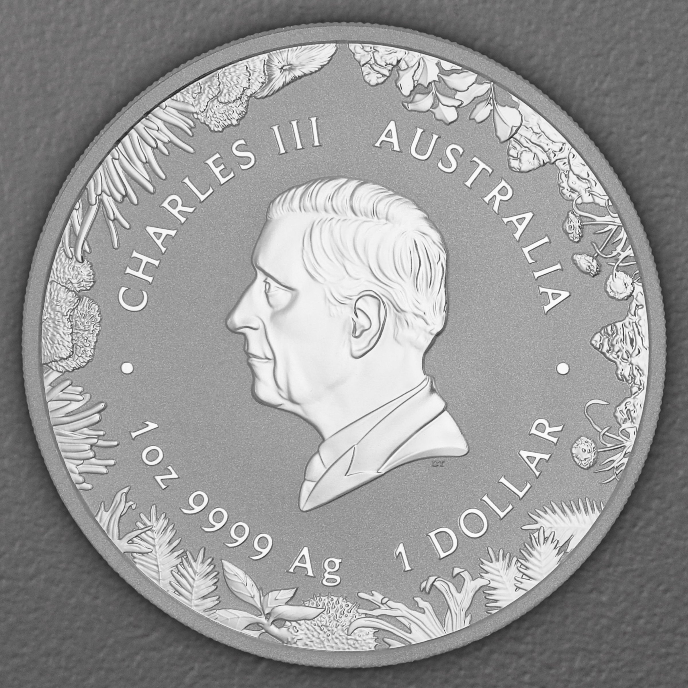 Silbermünze 1oz "The Outback" 2026 Wonders of Australia 19% (Australien) - Detailansicht 1