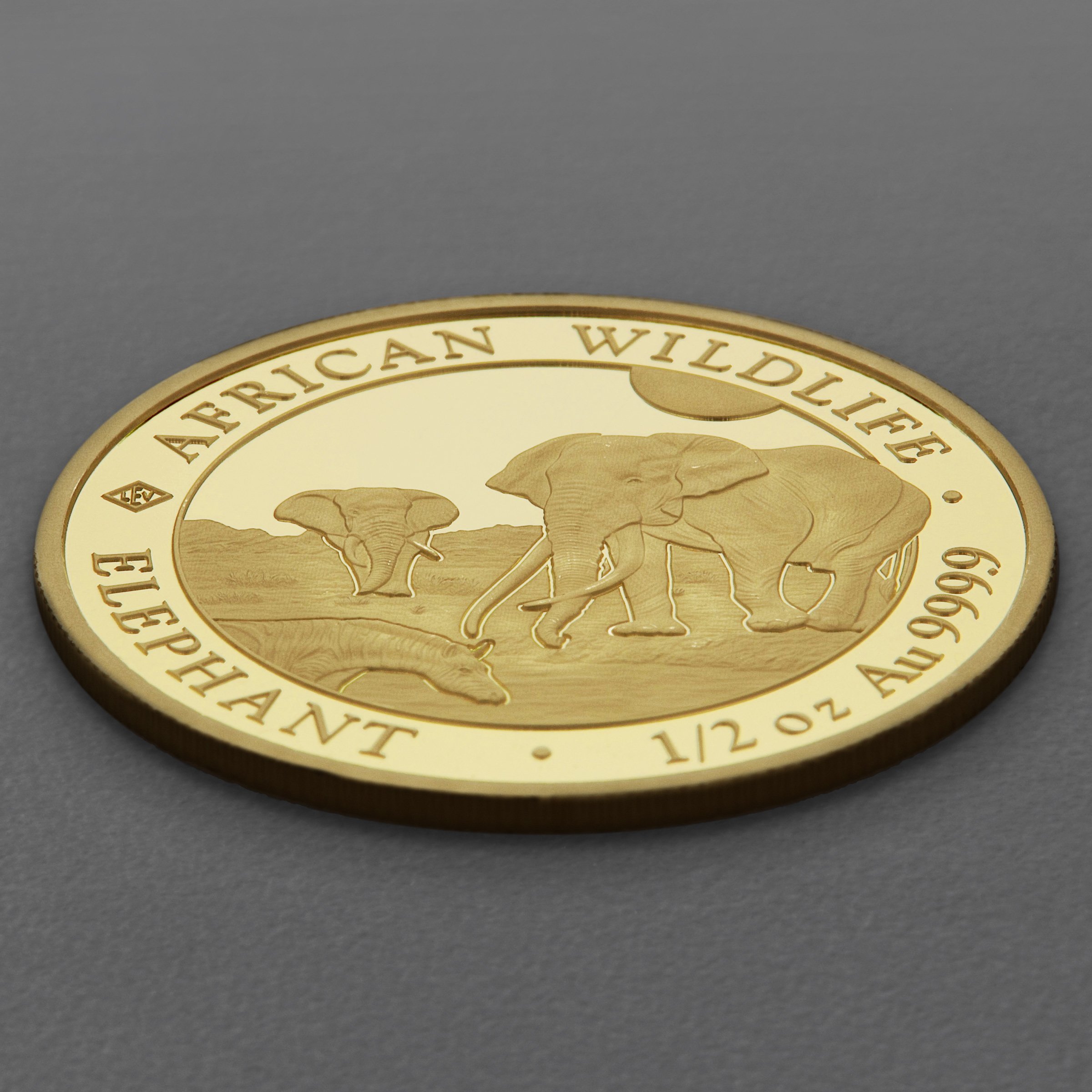 Goldmünze 1/2oz "Elefant" 2026 African Wildlife (Somalia) - Detailansicht 2