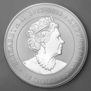 Silbermünze 1kg "Koala" 2023 (Australien) - Miniaturansicht 2