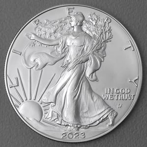 Silbermünze 1oz "American Eagle" verschiedene Jahrgänge (USA) 19% - Miniaturansicht 2