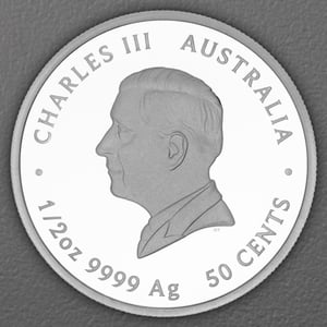 Silbermünze 1/2oz "Newborn" 2026 (PP/koloriert) (Australien) - Miniaturansicht 2