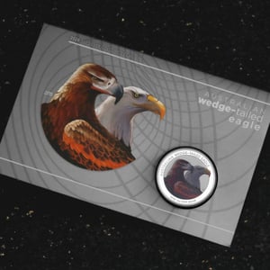 Silbermünze 1oz "Wedge-tailed Eagle" 2026 (koloriert) in Coin Card (Australien) - Miniaturansicht 5