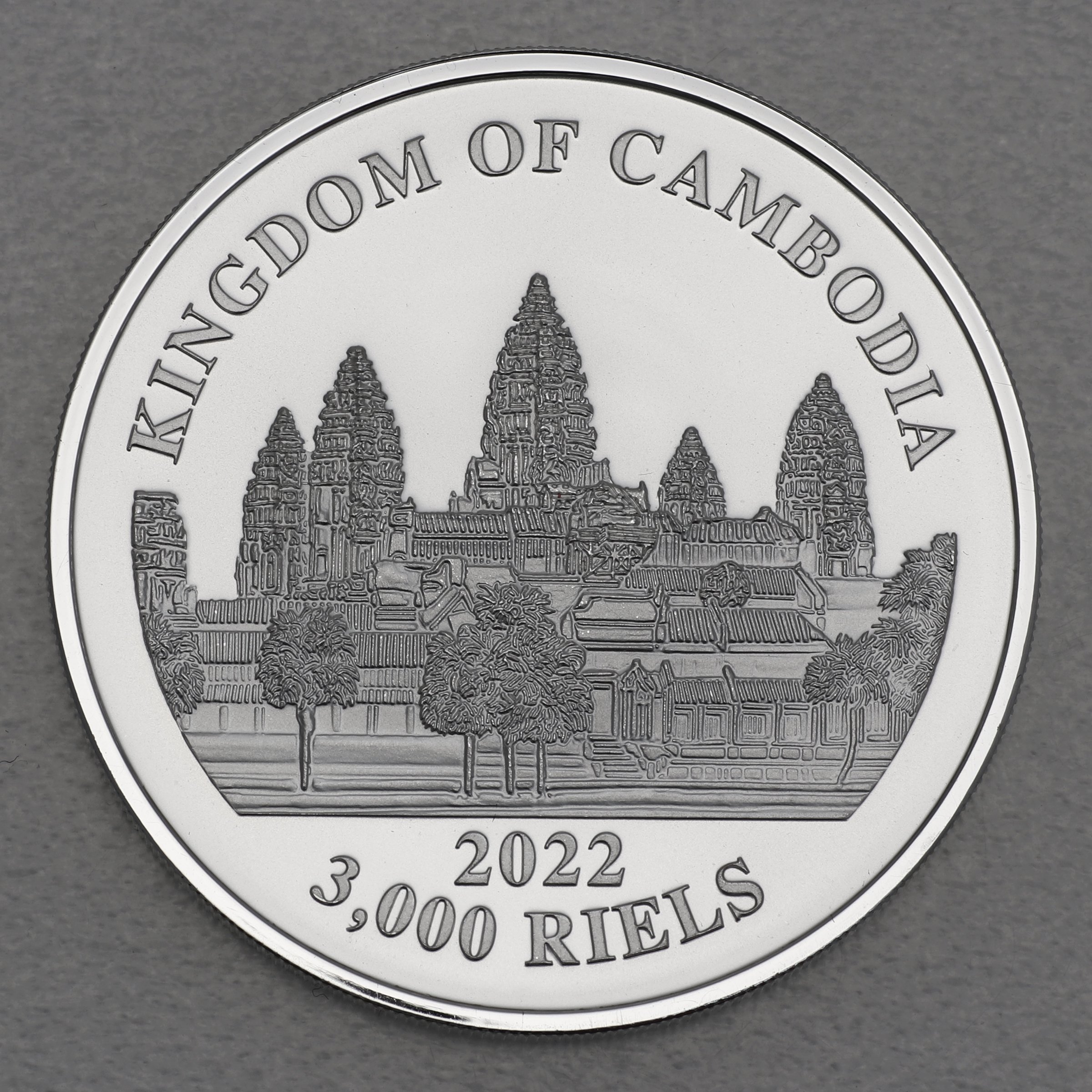 Silbermünze 1oz "Lost Tigers of Cambodia" 2022 (vergoldet) (Kambodscha) - Detailansicht 1