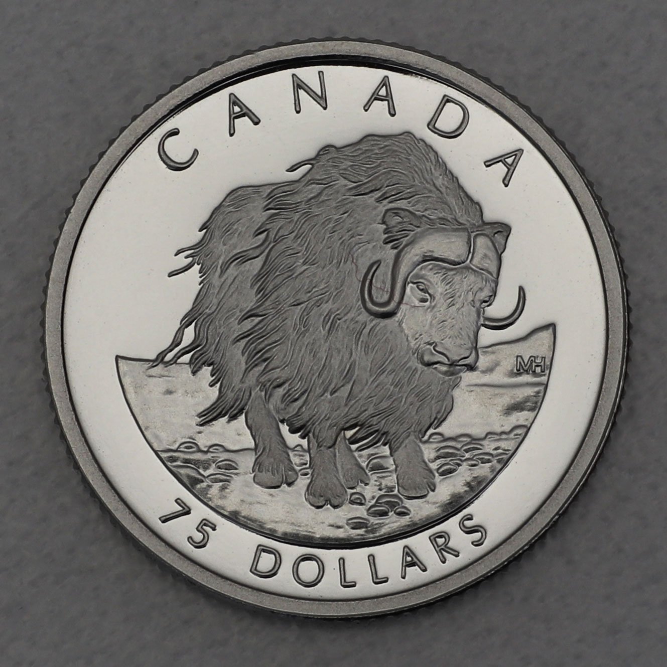 Platinmünze 1/4oz "Muskox" 1999 Wildlife Canada (Kanada) - Hauptansicht