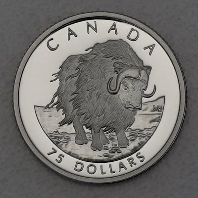 Platinmünze 1/4oz "Muskox" 1999 Wildlife Canada (Kanada) - Miniaturansicht 1