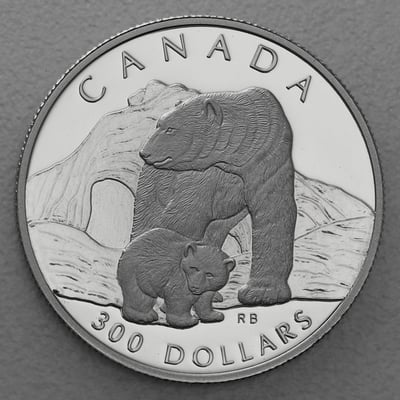Platinmünzen "Polar Bear" 1990 Wildlife Canada Set – 4-teilig (Kanada) - Miniaturansicht 2