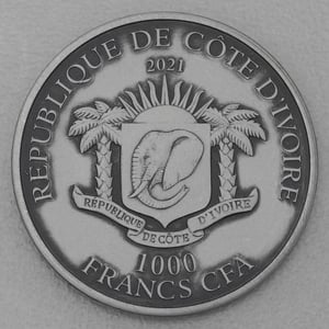 Silbermünze 1oz "Löwe" 2021 Antik Finish HR Big Five (Elfenbeinküste) - Miniaturansicht 2