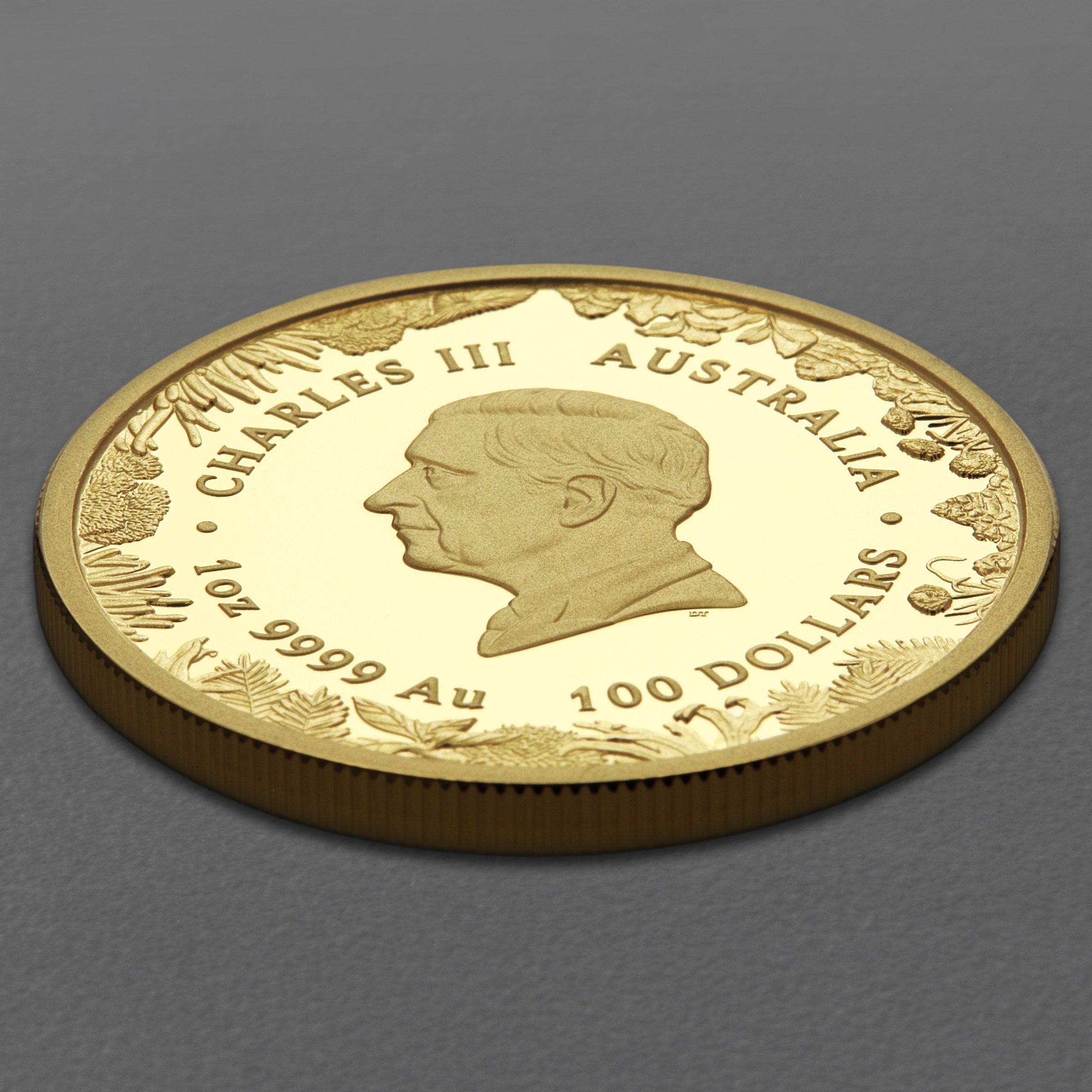 Goldmünze 1oz "The Outback" 2026 (PP) Wonders of Australia (Australien) - Detailansicht 3