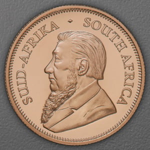 Goldmünze 15 x 1/2oz "Krügerrand" aktueller Jahrgang Tube (Südafrika) - Miniaturansicht 3