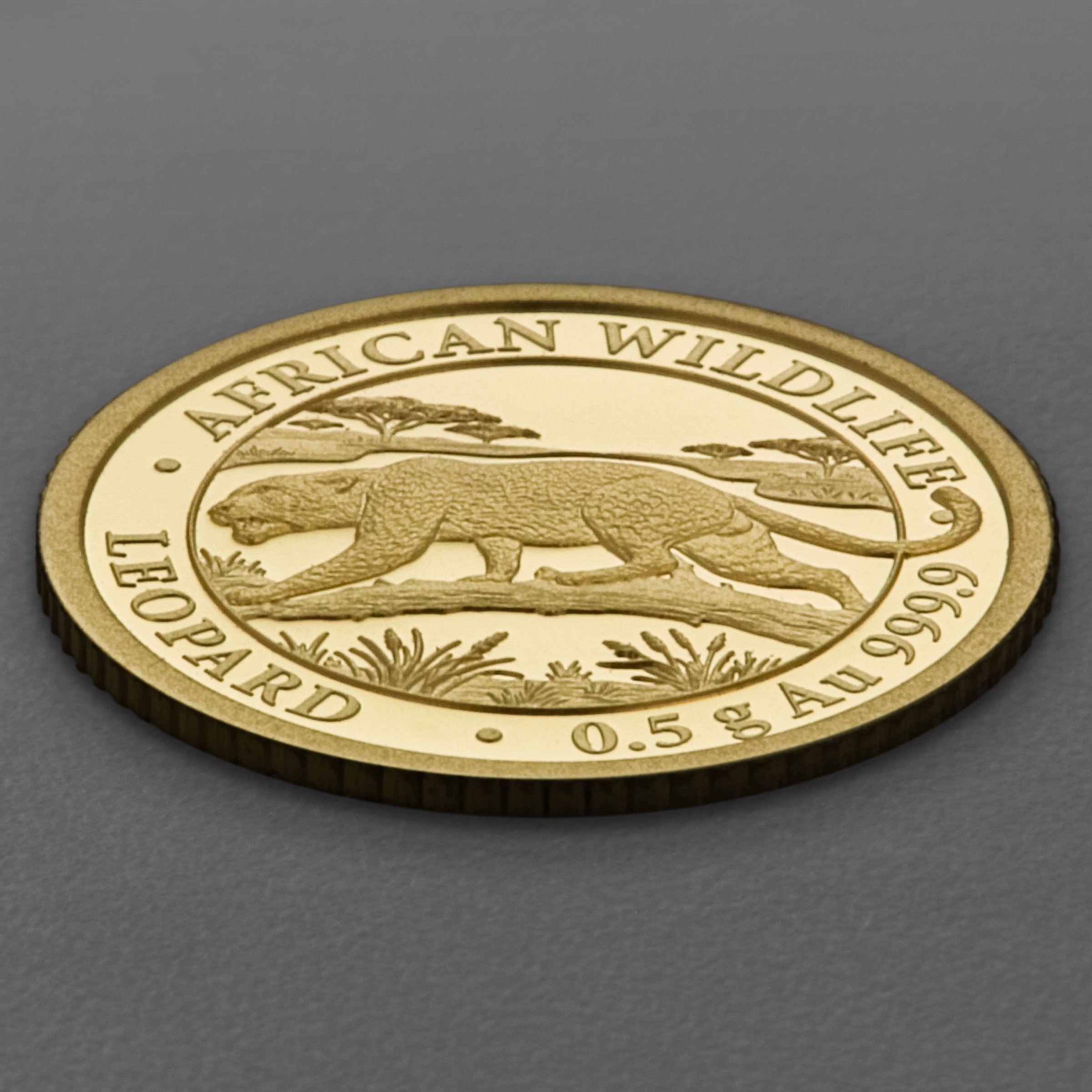 Goldmünze 0,5g "Leopard" 2026 (PP) African Wildlife (Somalia) - Detailansicht 2