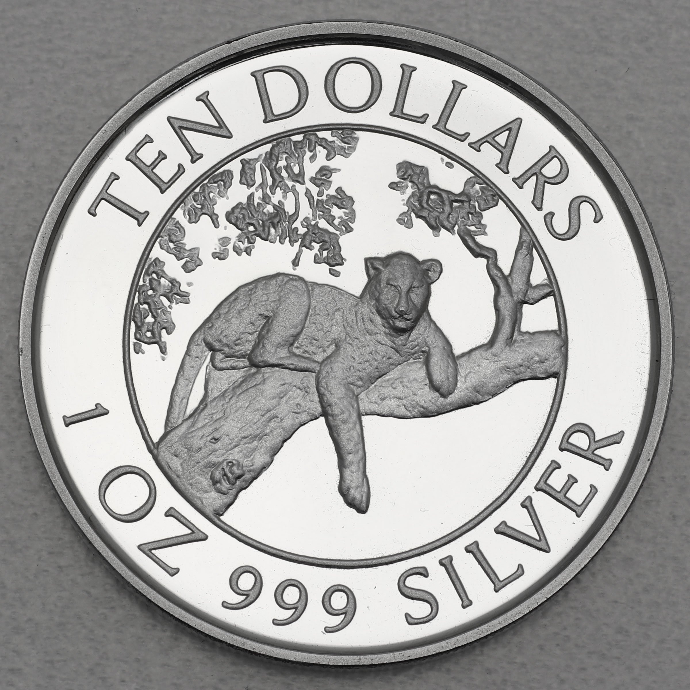 Silbermünze 1oz "Leopard" 1996 Big Five (Simbabwe) - Hauptansicht