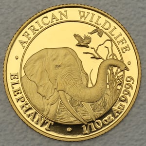 Goldmünze 1/10oz "Elefant" 2018 African Wildlife (Somalia) - Hauptansicht