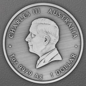 Silbermünze 1oz "Pillar Dollar" 2025 (AF) 225th Anniversary of Proclamation Coins (Australien) - Miniaturansicht 2