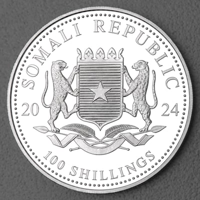 Silbermünze 1oz "Elefant" 2024 African Wildlife diff. (Somalia) - Miniaturansicht 2