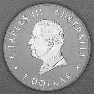 Silbermünze 1oz "Koala" 2026 (koloriert) ANA World s Fair of Money Special (Australien) - Miniaturansicht 2