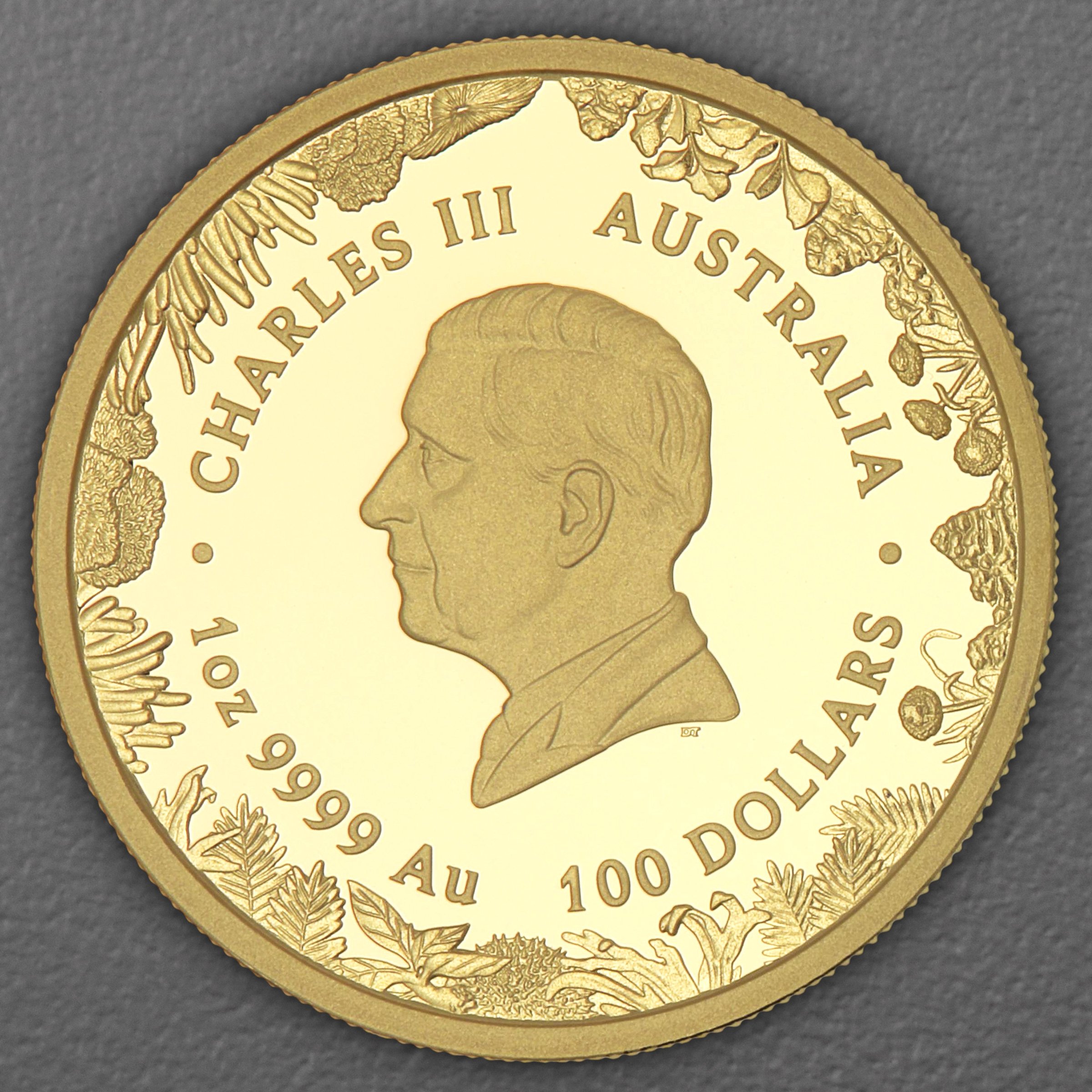 Goldmünze 1oz "The Outback" 2026 (PP) Wonders of Australia (Australien) - Detailansicht 1