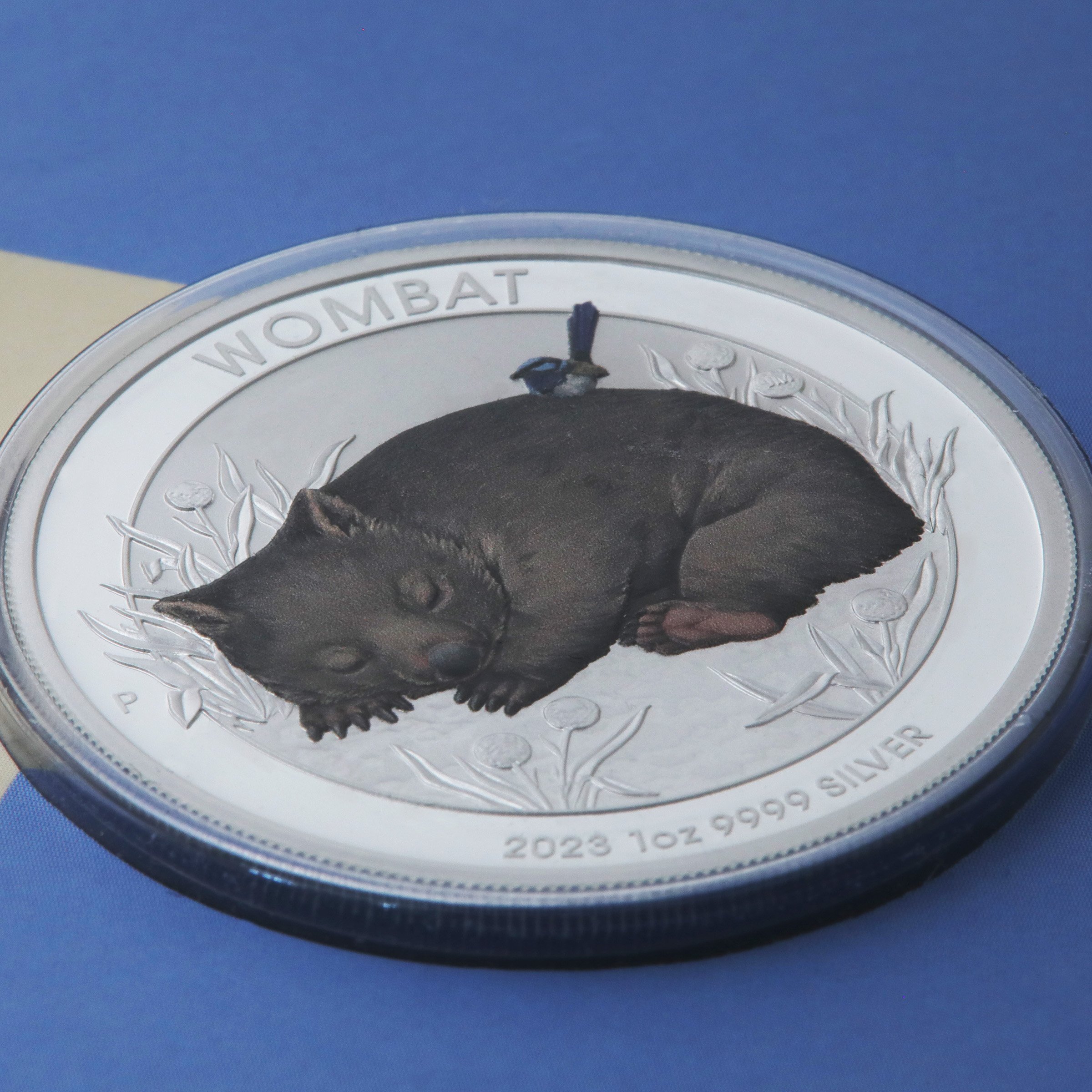 Silbermünze 1oz "Wombat" 2023 (koloriert) 19% (Australien) - Detailansicht 4