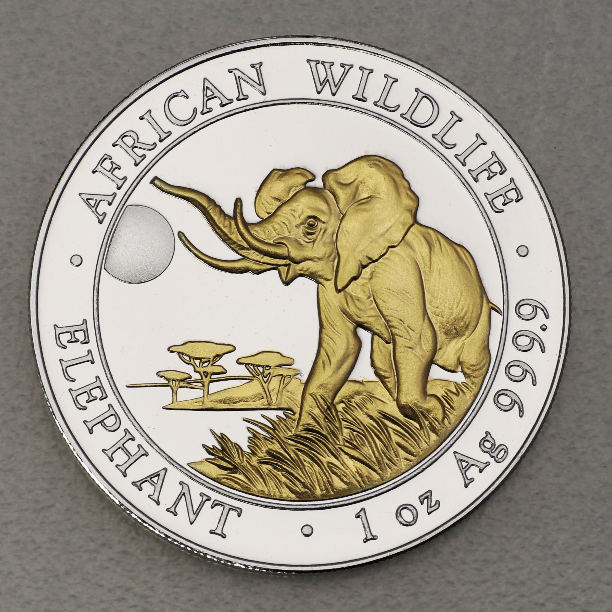 Silbermünze 1oz "Elefant" 2016 (vergoldet) African Wildlife (Somalia) - Hauptansicht