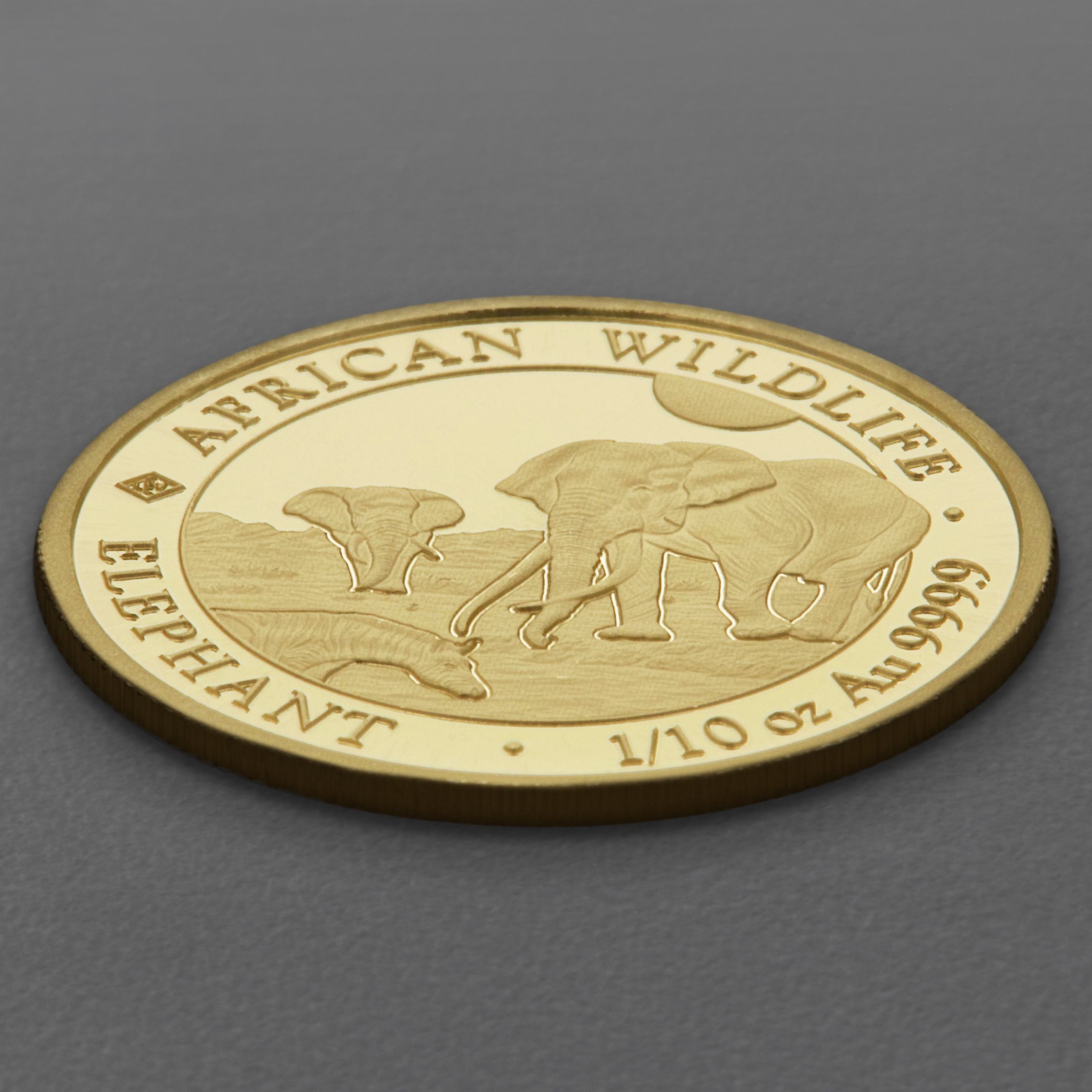 Goldmünze 1/10oz "Elefant" 2026 African Wildlife (Somalia) - Detailansicht 2
