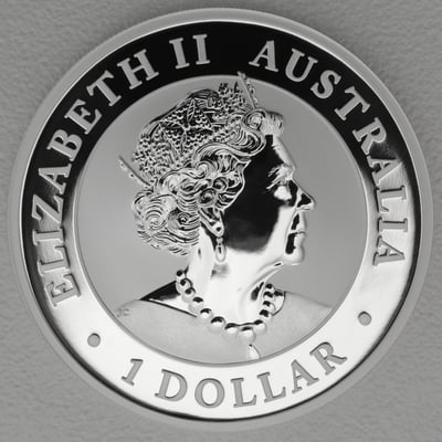 Silbermünze 1oz "Emu" 2020 (Australien) - Miniaturansicht 2