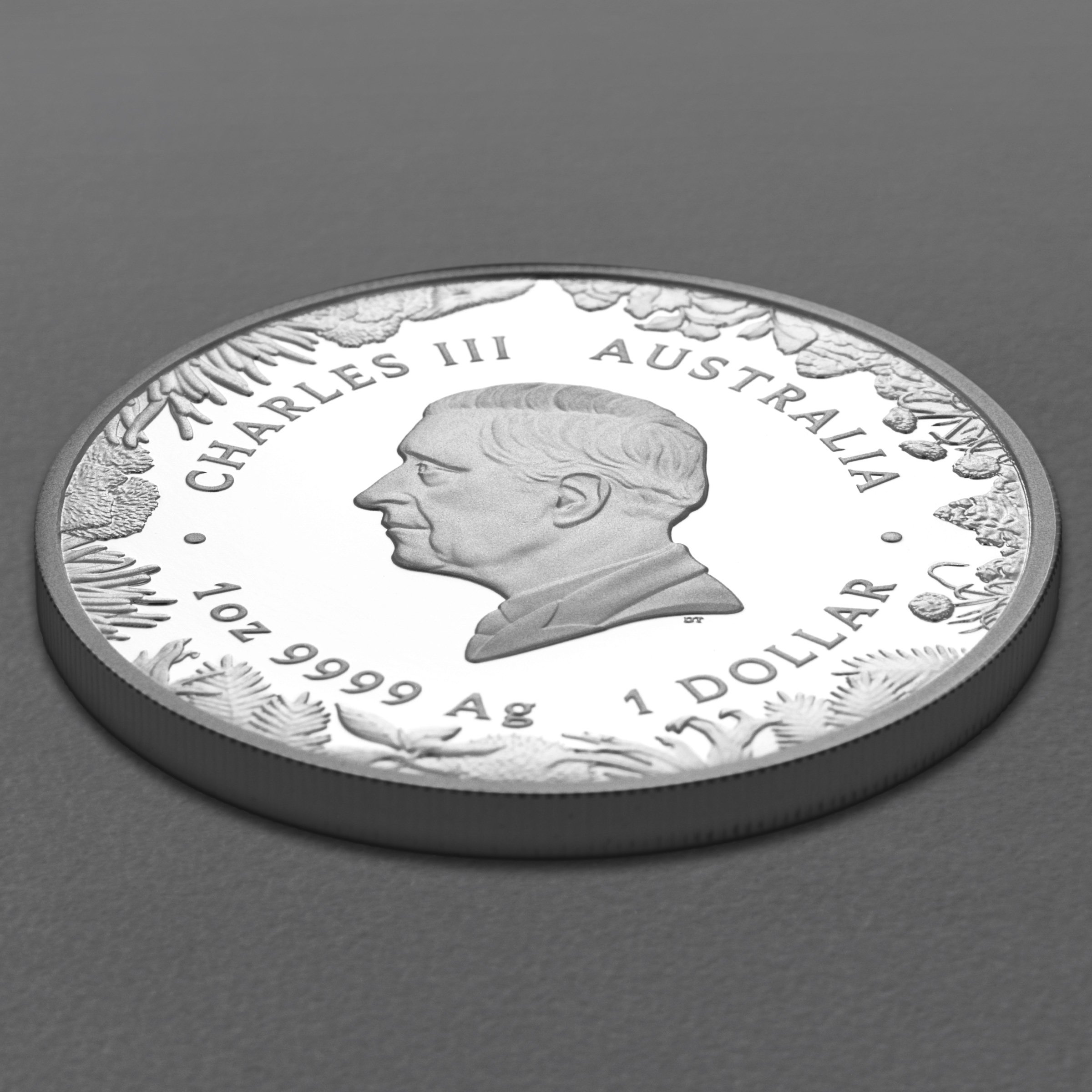 Silbermünze 1oz "The Outback" 2026 (PP) Wonders of Australia (Australien) - Detailansicht 3