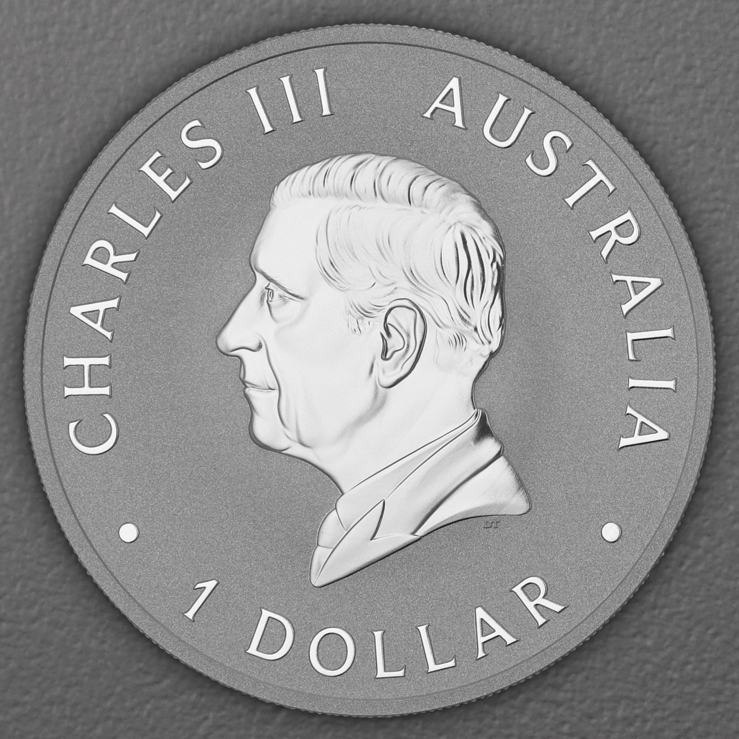 Silbermünze 1oz "Schwan" 2026 (koloriert) Perth Money Expo ANDA Coin Show Special (Australien) - Detailansicht 1