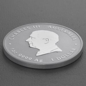 Silbermünze 1oz "Schlange" 2025 Lunar III – Year of the Snake 19% (Australien) - Miniaturansicht 4