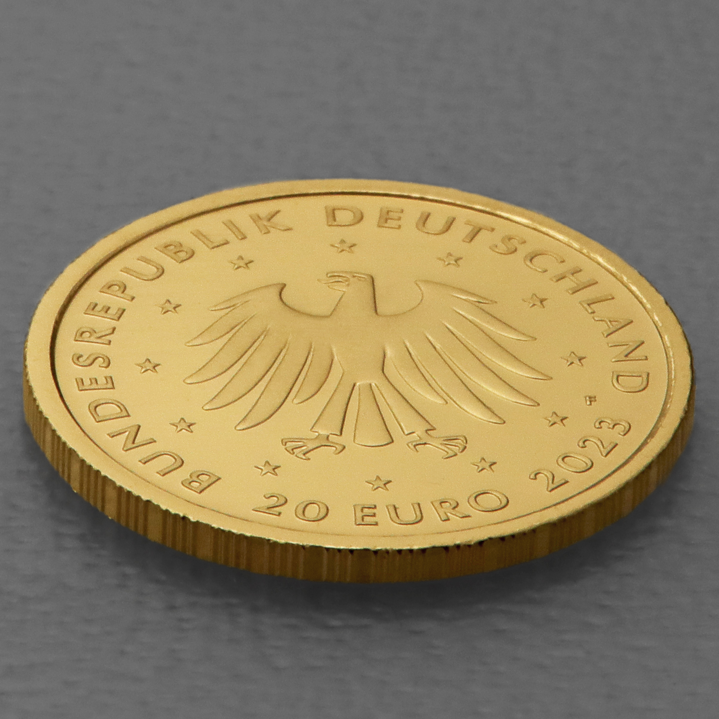 Goldmünze 20 Euro "Steinbock" 2023 Rückkehr der Wildtiere (Deutschland) - Detailansicht 3