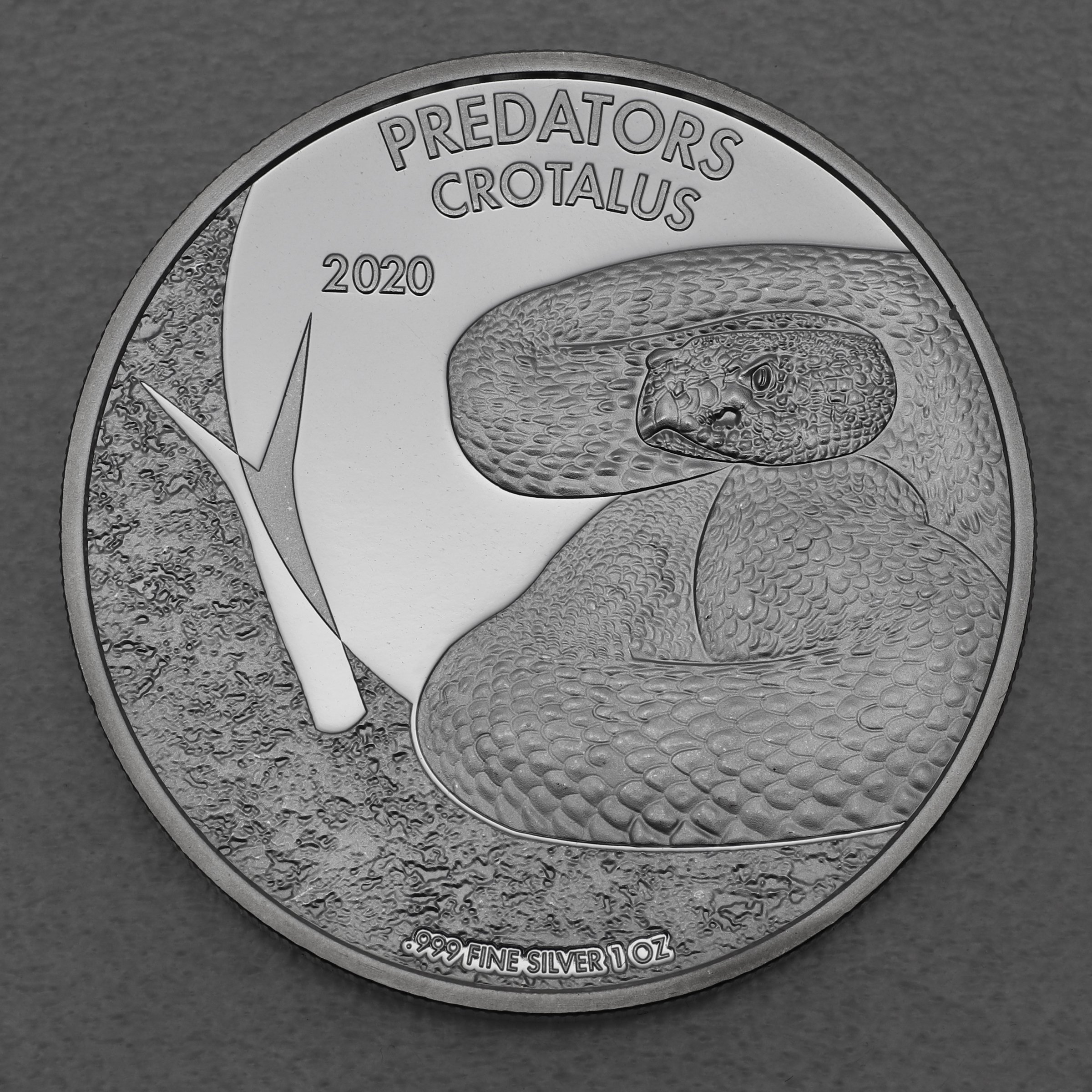 Silbermünze 1oz "Klapperschlange" 2020 Predators (Kongo) - Hauptansicht
