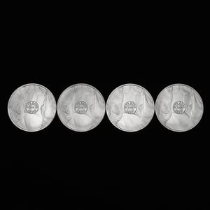 Silbermünze 1oz "Nashorn" 2020 Big Five I (Südafrika) - Miniaturansicht 3