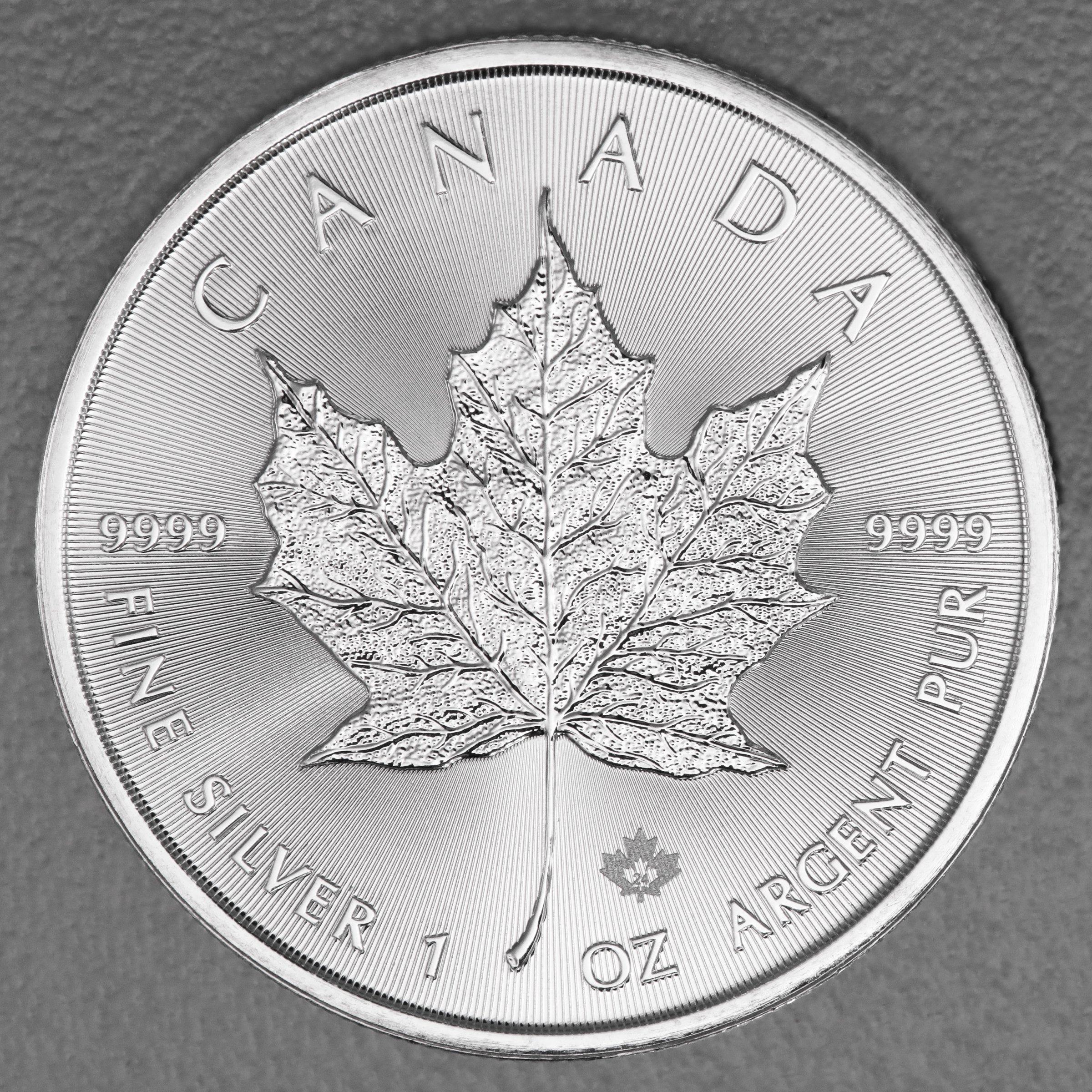 Silbermünze 25 x 1oz "Maple Leaf" verschiedene Jahrgänge Tube diff. (Kanada) - Detailansicht 5