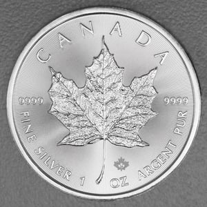 Silbermünze 25 x 1oz "Maple Leaf" verschiedene Jahrgänge Tube diff. (Kanada) - Miniaturansicht 6