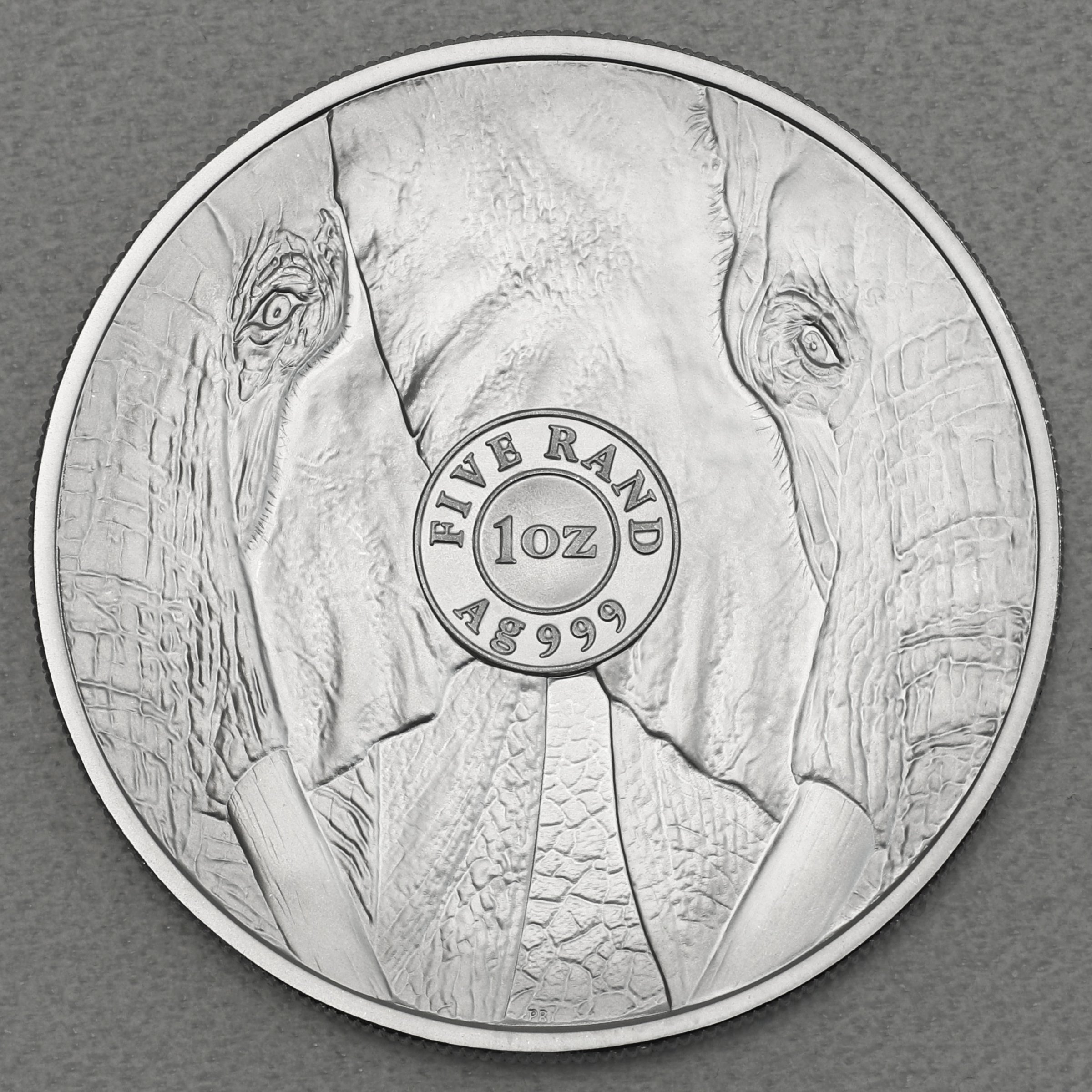 Silbermünze 1oz "Elefant" 2021 Big Five II (Südafrika) - Detailansicht 1