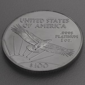 Platinmünze 1oz "American Eagle" (Pt) 19% (USA) - Miniaturansicht 4