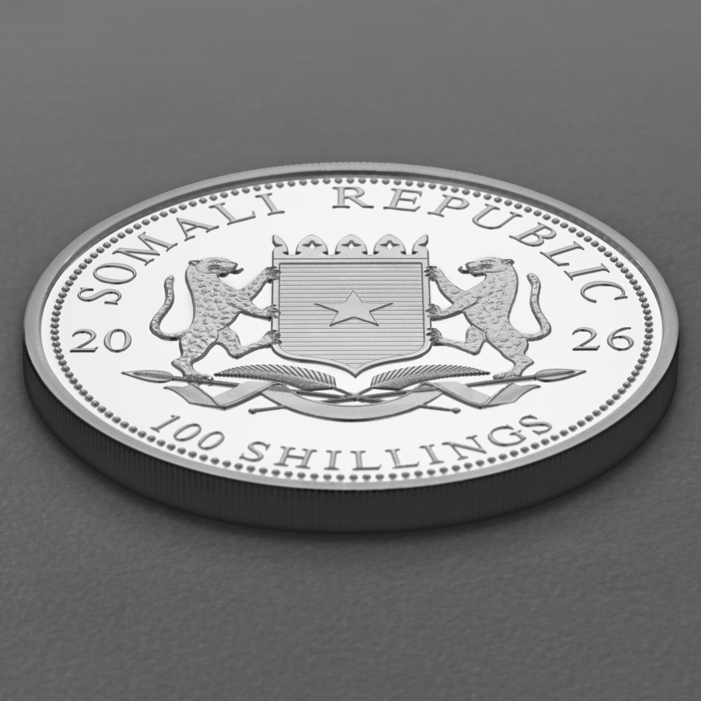 Silbermünze 1oz "Leopard" 2026 African Wildlife 19% (Somalia) - Detailansicht 3