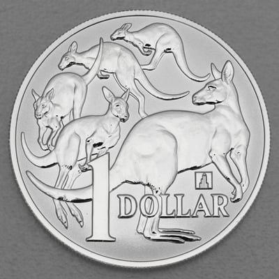 Silbermünze 1oz "Känguru" 2019 Royal Australian Mint (Australien) - Miniaturansicht 1