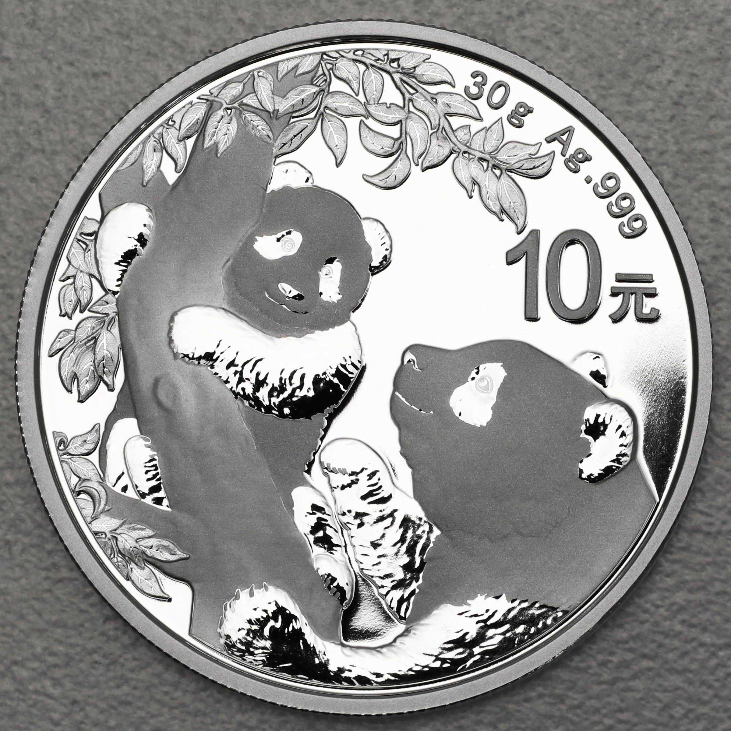 Silbermünze 30g "Panda" 2021 (China) - Hauptansicht