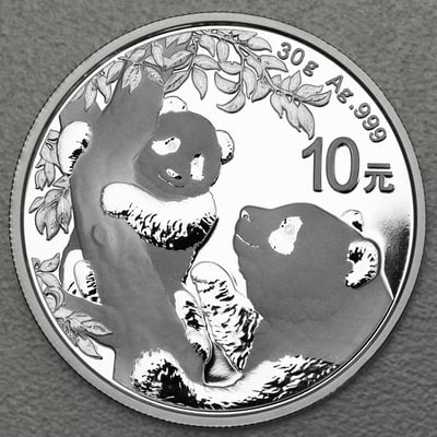 Silbermünze 30g "Panda" 2021 (China) - Miniaturansicht 1