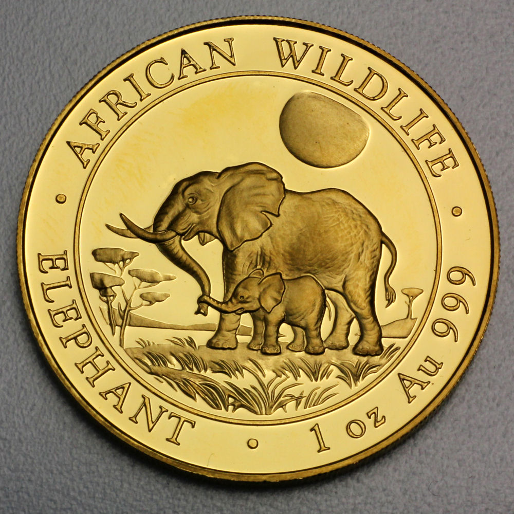 Goldmünze 1oz "Elefant" 2011 African Wildlife (Somalia) - Hauptansicht