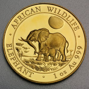 Goldmünze 1oz "Elefant" 2011 African Wildlife (Somalia) - Miniaturansicht 1
