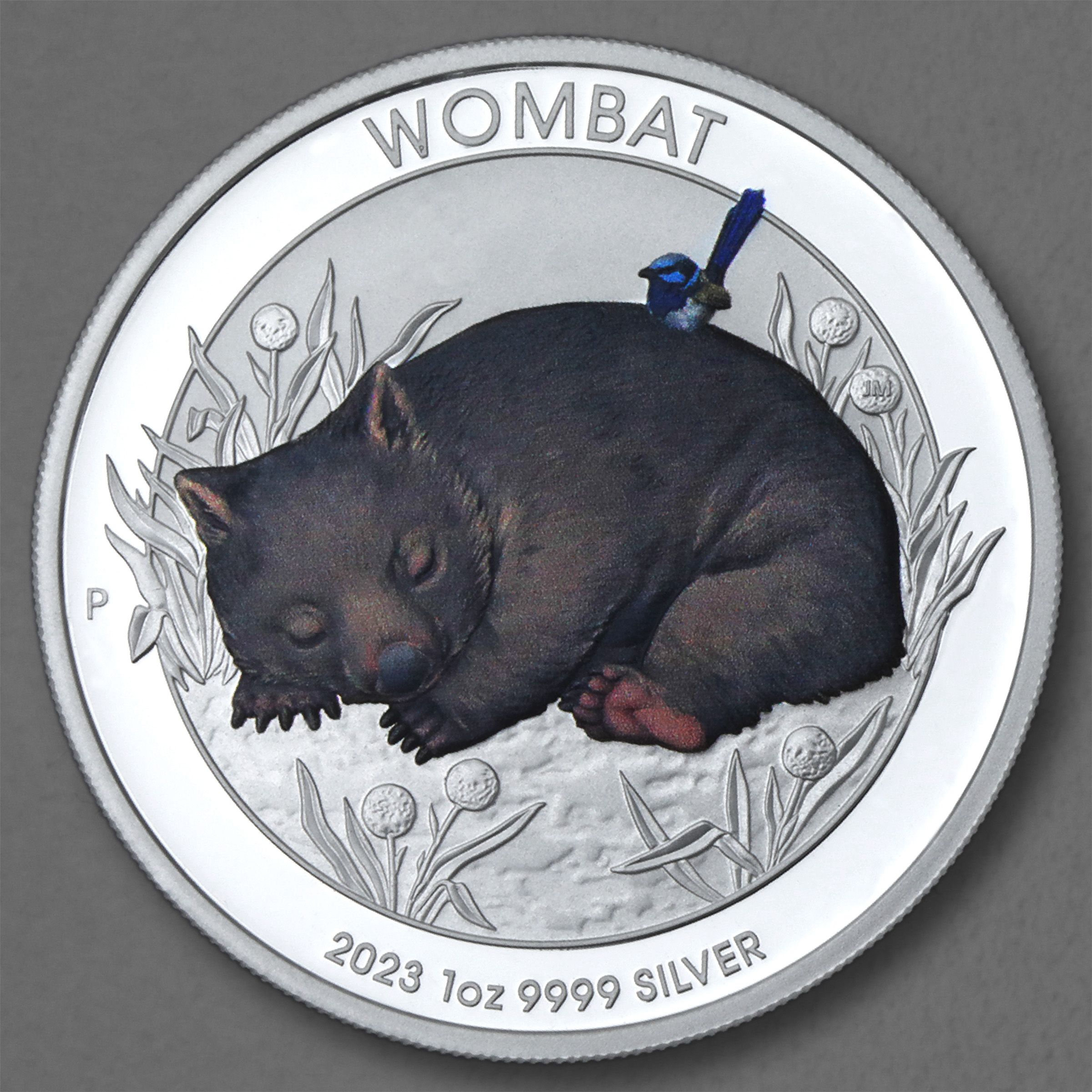Silbermünze 1oz "Wombat" 2023 (koloriert) 19% (Australien) - Hauptansicht