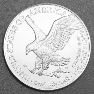 Silbermünze 20 x 1oz "American Eagle" aktueller Jahrgang Tube (USA) - Miniaturansicht 2