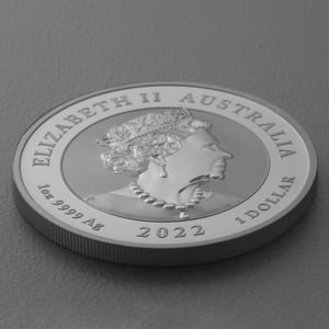 Silbermünze 1oz "Quokka" 2022 19% (Australien) - Miniaturansicht 4