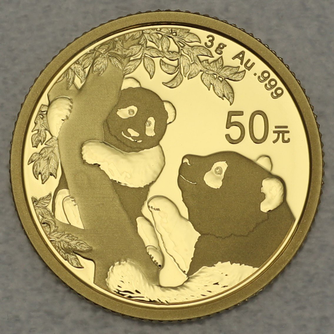 Goldmünze 3g "Panda" 2021 (China) - Hauptansicht