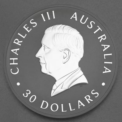Silbermünze 1kg "Koala" 2025 (Australien) - Miniaturansicht 2