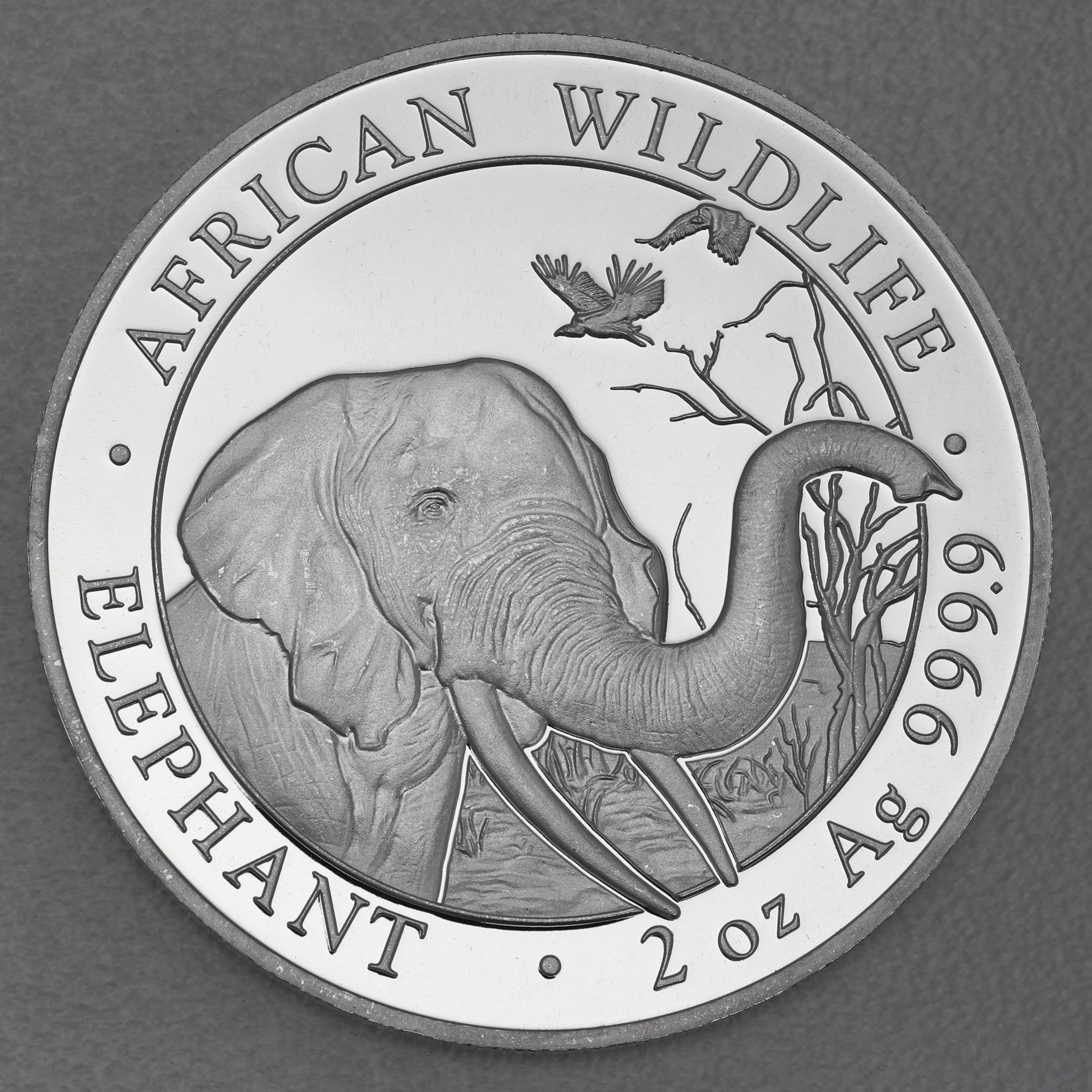 Silbermünze 2oz "Elefant" 2018 African Wildlife (Somalia) - Hauptansicht