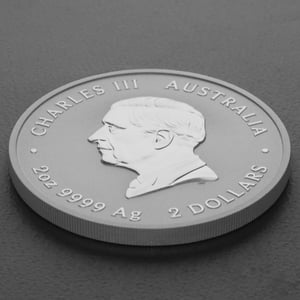Silbermünze 2oz "Schlange" 2025 Lunar III – Year of the Snake 19% (Australien) - Miniaturansicht 4