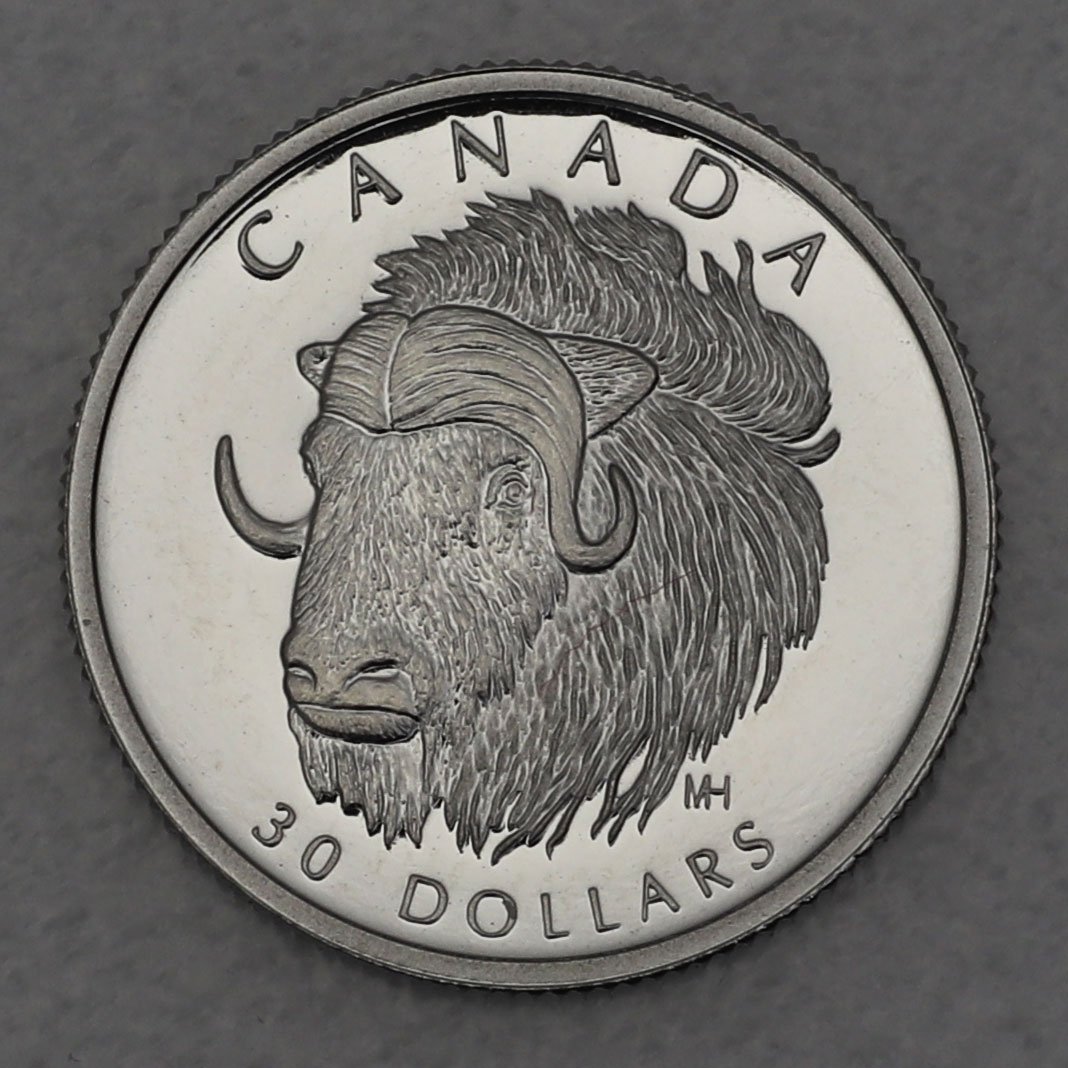 Platinmünze 1/10oz "Muskox" 1999 Wildlife Canada (Kanada) - Hauptansicht